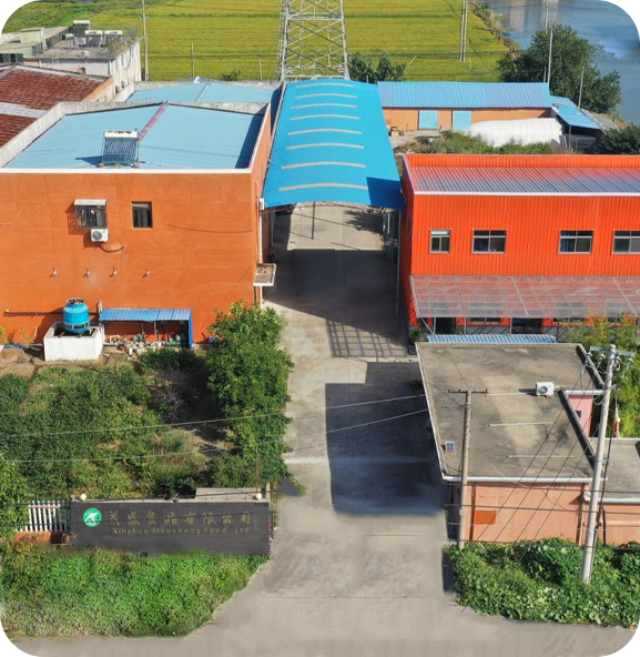 Xinghua Maoshg Food Co., Ltd.