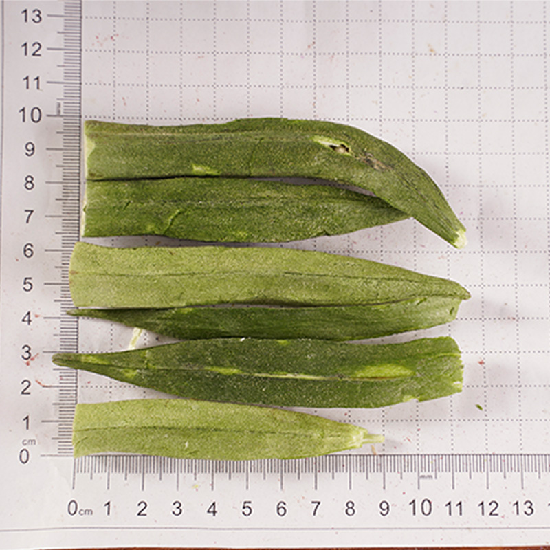 Gefriergetrockneter Okra Gefriergetrockneter Okra