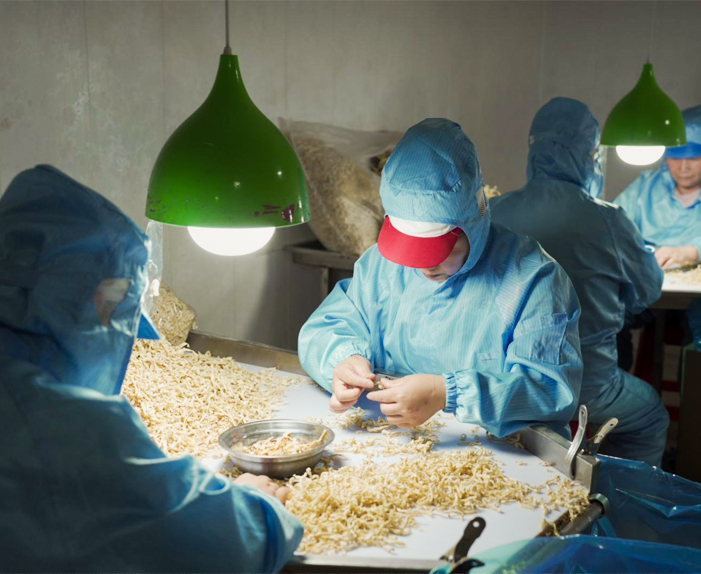 Xinghua Maoshg Food Co., Ltd.