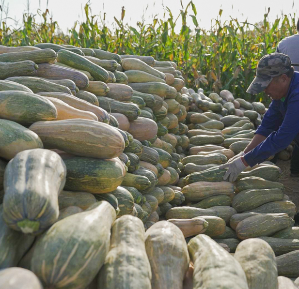 Qualität und Prozess
