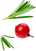 Xinghua Maoshg Food Co., Ltd.